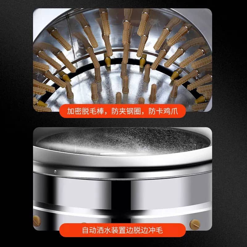 Machine à plumer - image 2