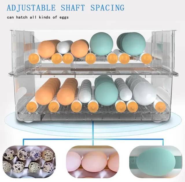 Incubateur d'œufs automatique  - image 3