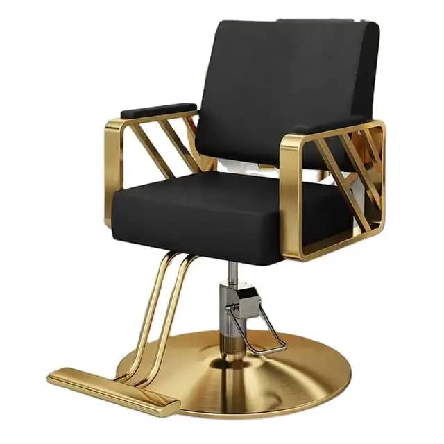 Chaise de luxe salon de coiffure 